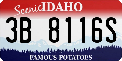 ID license plate 3B8116S