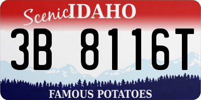 ID license plate 3B8116T