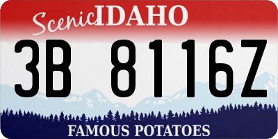ID license plate 3B8116Z
