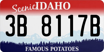 ID license plate 3B8117B