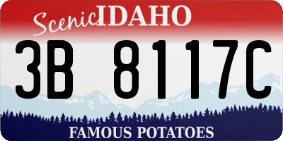 ID license plate 3B8117C