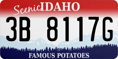 ID license plate 3B8117G