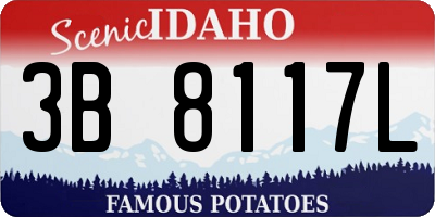 ID license plate 3B8117L