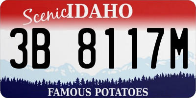 ID license plate 3B8117M