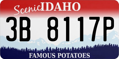 ID license plate 3B8117P
