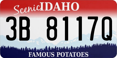 ID license plate 3B8117Q