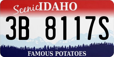 ID license plate 3B8117S