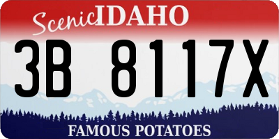 ID license plate 3B8117X