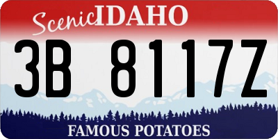ID license plate 3B8117Z