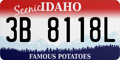 ID license plate 3B8118L