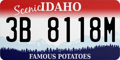 ID license plate 3B8118M