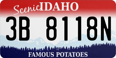 ID license plate 3B8118N