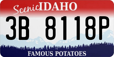 ID license plate 3B8118P