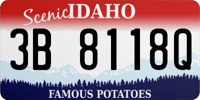 ID license plate 3B8118Q