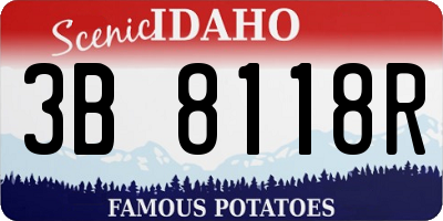 ID license plate 3B8118R