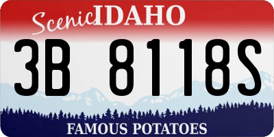 ID license plate 3B8118S