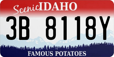 ID license plate 3B8118Y