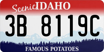 ID license plate 3B8119C