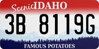 ID license plate 3B8119G