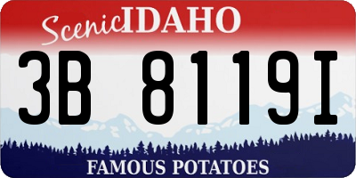 ID license plate 3B8119I