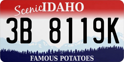 ID license plate 3B8119K