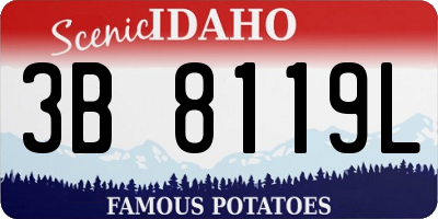 ID license plate 3B8119L
