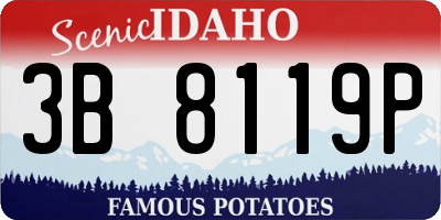 ID license plate 3B8119P