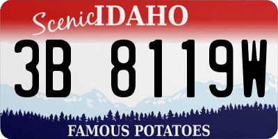 ID license plate 3B8119W