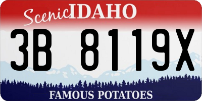 ID license plate 3B8119X
