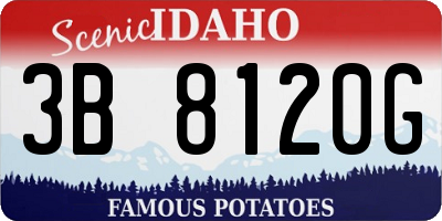 ID license plate 3B8120G