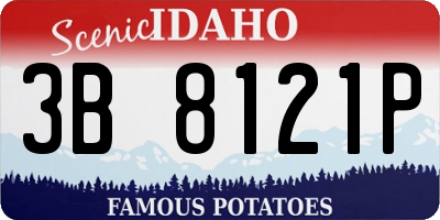ID license plate 3B8121P