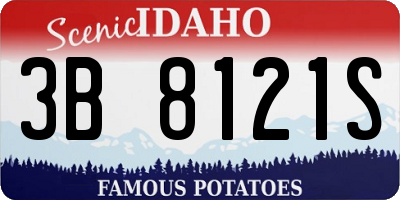 ID license plate 3B8121S