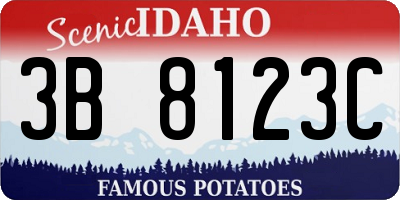 ID license plate 3B8123C