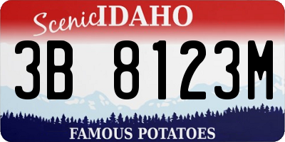ID license plate 3B8123M