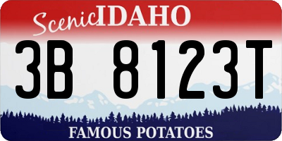 ID license plate 3B8123T