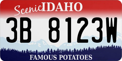 ID license plate 3B8123W