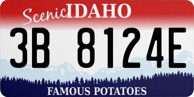 ID license plate 3B8124E