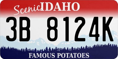 ID license plate 3B8124K