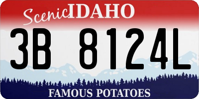 ID license plate 3B8124L