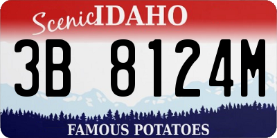 ID license plate 3B8124M