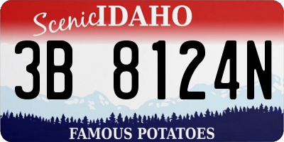 ID license plate 3B8124N