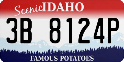 ID license plate 3B8124P