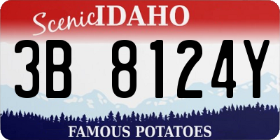ID license plate 3B8124Y