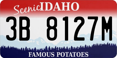 ID license plate 3B8127M