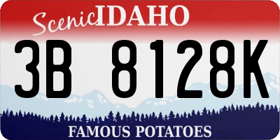 ID license plate 3B8128K