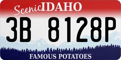 ID license plate 3B8128P