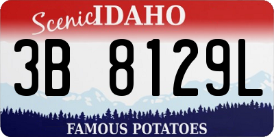 ID license plate 3B8129L