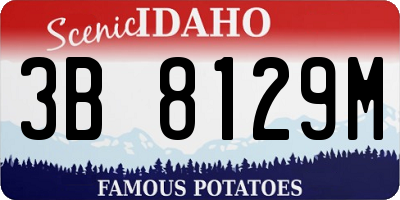 ID license plate 3B8129M