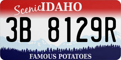 ID license plate 3B8129R