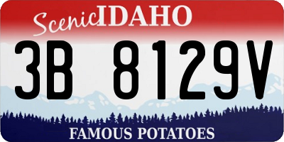 ID license plate 3B8129V